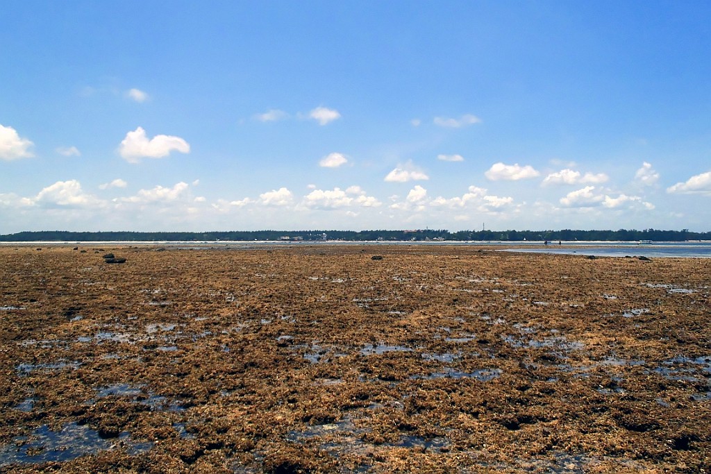 Kenia (546).jpg
